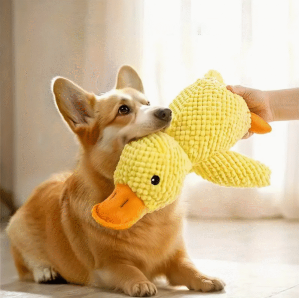 Soft Chew Resistant Plush Duck Dog Toy