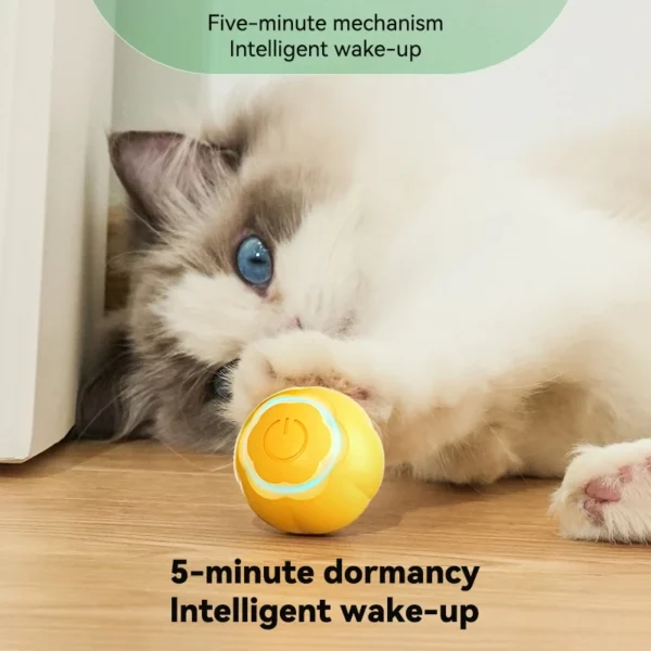 Smart Cat Toy Rolling Ball with LED Light
