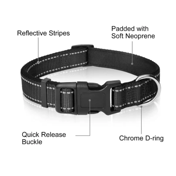 Reflective Dog Collar and Leash Set