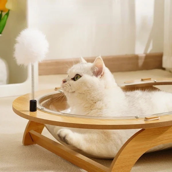 Cat Nest Capsule Transparent Oval Sleeping Bed
