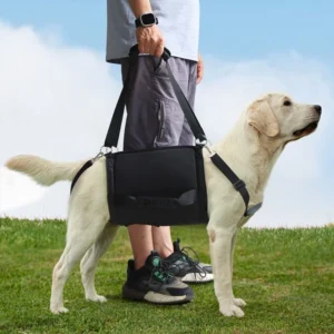 Adjustable Dog Recovery Harness with Leash