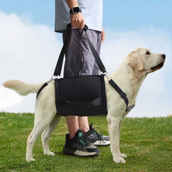 Adjustable Dog Recovery Harness with Leash