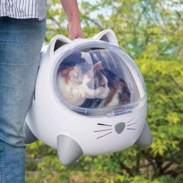 Cat Theme Medium Carrier