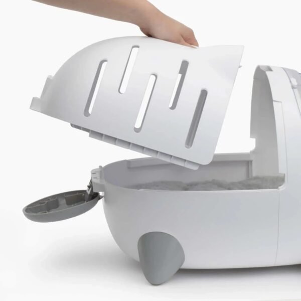 Cat Theme Medium Carrier